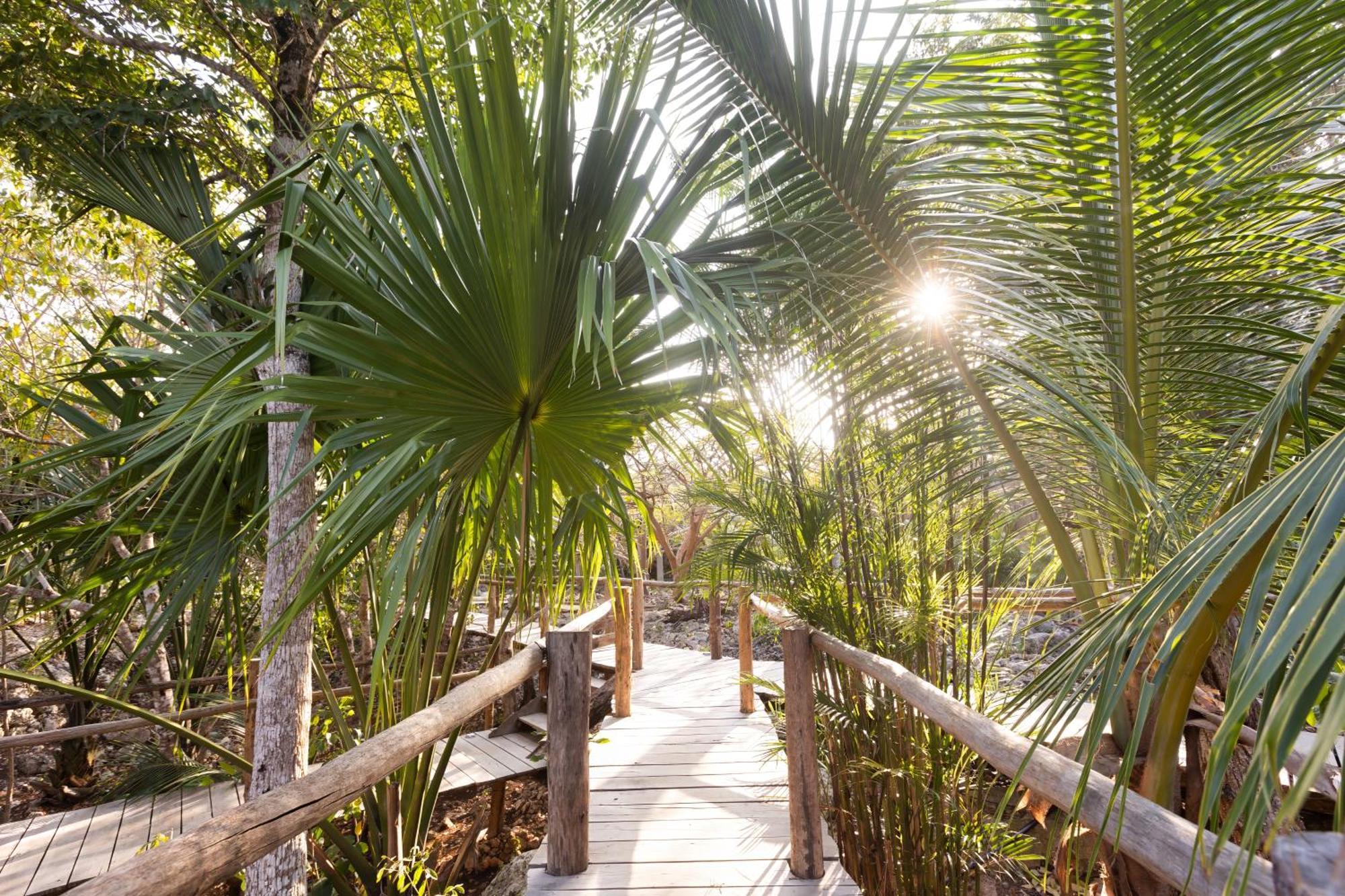 Pepem Holistic Experience - Peaceful Retreat Near Tulum (Adults Only) Villa Exterior photo